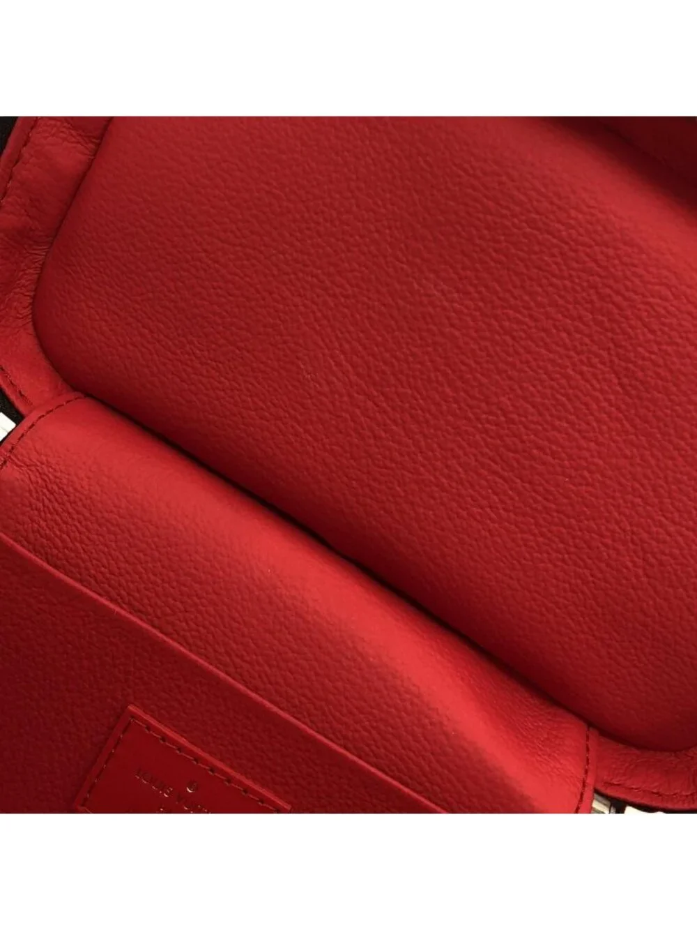 Louis Vuitton brand louis
